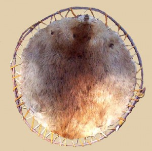 beaver pelt pelts trappers trapping beavers expansion dry western pfeifen indianer thefurtrapper