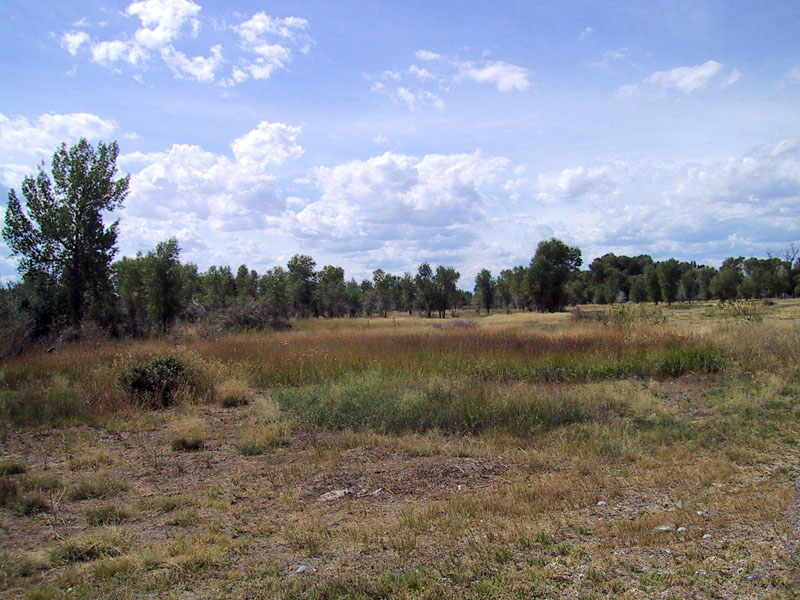 1830-38 Wind River Rendezvous Riverton Wyoming