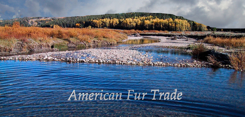 American Fur Trade