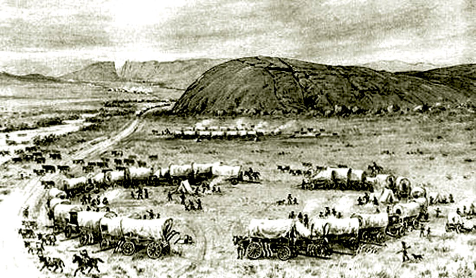 Cattle Corral