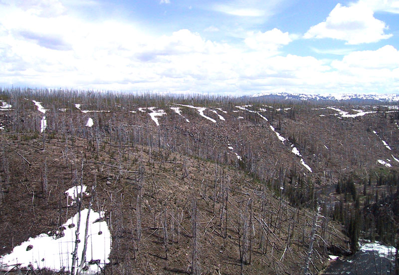 Lewis River Fire 2002