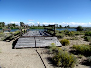 ferry lombard crossing