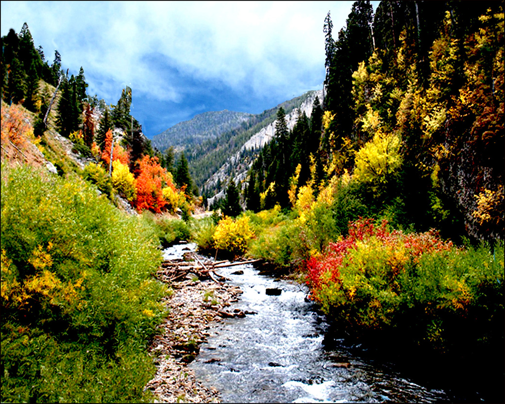 swift-creek-canyon