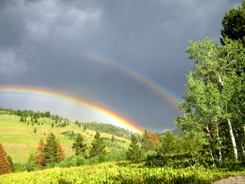 Three Rainbows