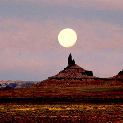 Howling Coyote - Monument Valley